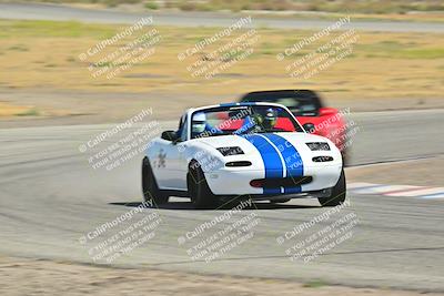 media/May-24-2025-Turn8 Trackdays (Sat) [[034586b55d]]/2 Advanced 1/Session 2 (Cotton Corners-Grapevine)/